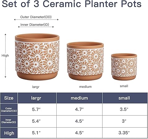 Ceramic Plant Pots (3 pcs)
