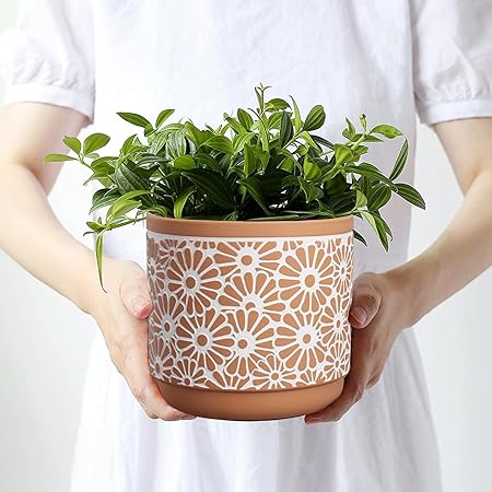 Ceramic Plant Pots (3 pcs)