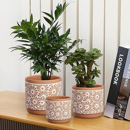 Ceramic Plant Pots (3 pcs)
