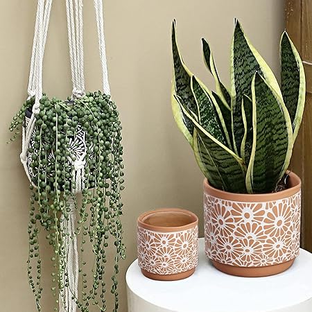 Ceramic Plant Pots (3 pcs)