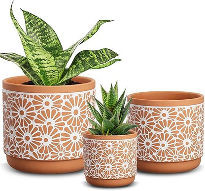 Ceramic Plant Pots (3 pcs)