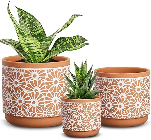 Ceramic Plant Pots (3 pcs)
