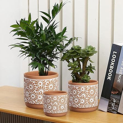 Ceramic Plant Pots (3 pcs)