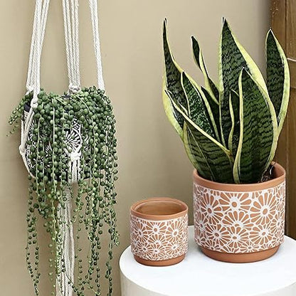 Ceramic Plant Pots (3 pcs)